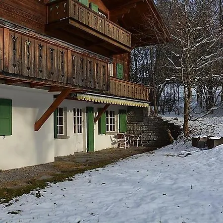 Sleeps 7 Wifi Apartment Gstaad